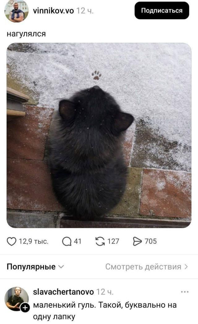 нагулялся маленький гуль. Такой, буквально на одну лапку
