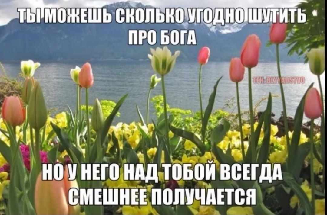 ТЫ МОЖЕШЬ СКОЛЬКО УГОДНО ШУТИТЬ ПРО БОГА НО У НЕГО НАД ТОБОЙ ВСЕГДА СМЕШНЕЕ ПОЛУЧАЕТСЯ