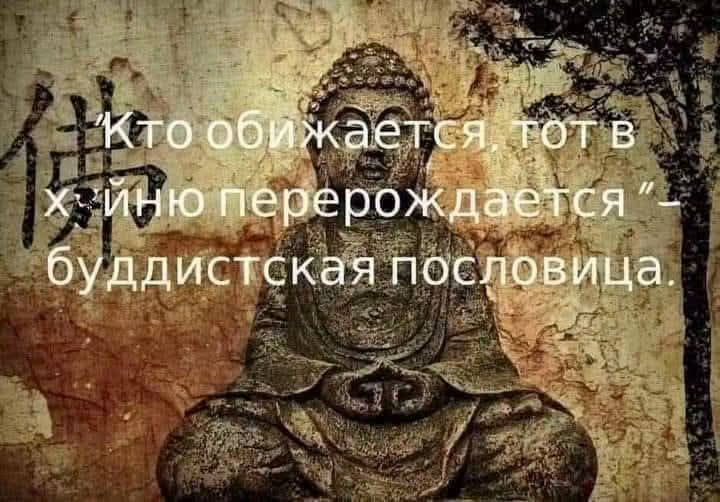Кто обижается, тот в х*йню перерождается