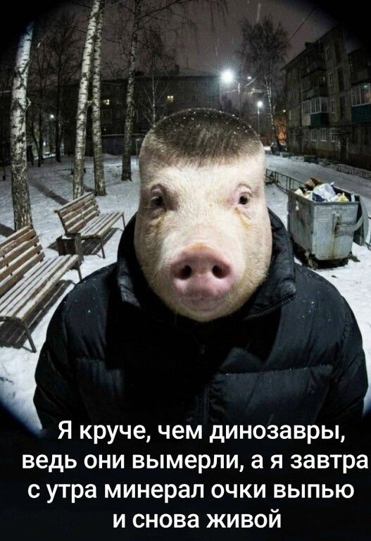 Я круче, чем динозавры, ведь они вымерли, а я завтра с утра минерал очки выпью и снова живой