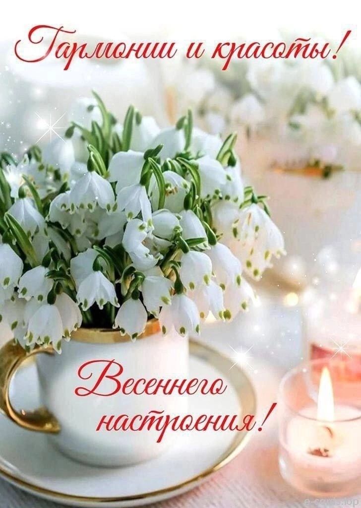 Гармонии и красоты! Весеннего настроения!