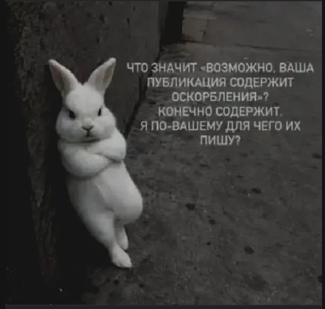 ЧТО ЗНАЧИТ «ВОЗМОЖНО, ВАША ПУБЛИКАЦИЯ СОДЕРЖИТ ОСКОРБЛЕНИЯ»? КОНЕЧНО СОДЕРЖИТ. Я ПО-ВАШЕМУ ДЛЯ ЧЕГО ИХ ПИШУ?