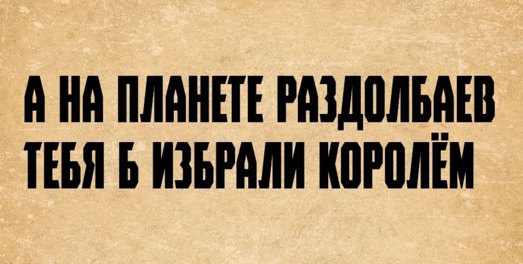 А на планете раздолбаев тебя бы избрали королём