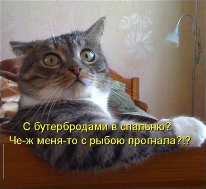 С бутербродами в спальню? Че-ж меня-то с рыбою прогнала?!?
