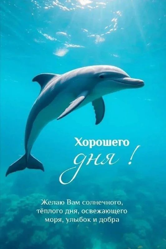 Хорошего дня! Желаю Вам солнечного, теплого дня, освежающего моря, улыбок и добра