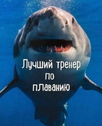 Лучший тренер по плаванию