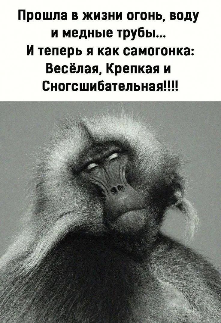 Прошла в жизни огонь, воду и медные трубы... И теперь я как самогонка: Весёлая, Крепкая и Сногсшибательная!!!!