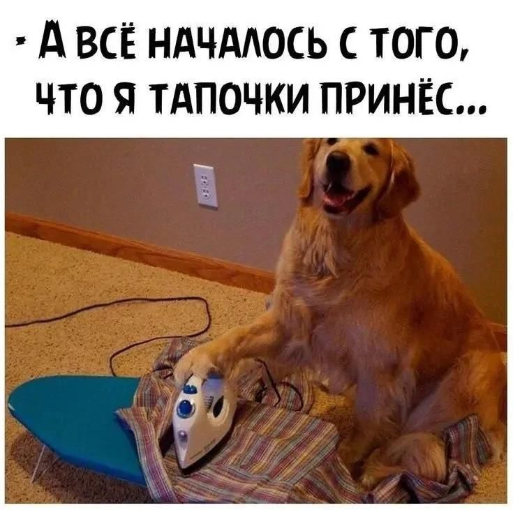 А всё началось с того, что я тапочки принёс...
