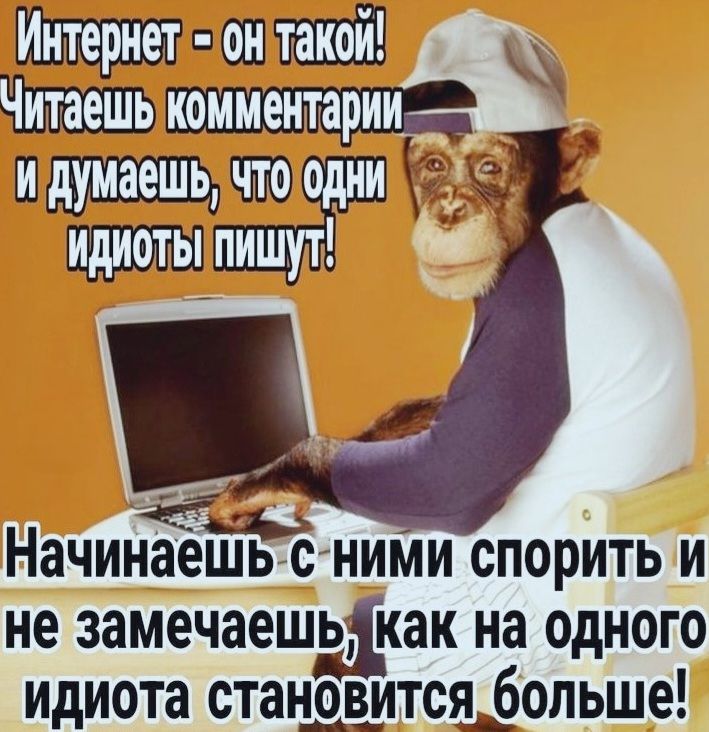 Интернет - он такой! Читаешь комментарии и думаешь, что одни идиоты пишут! Начинаешь с ними спорить и не замечаешь, как на одного идиота становится больше!