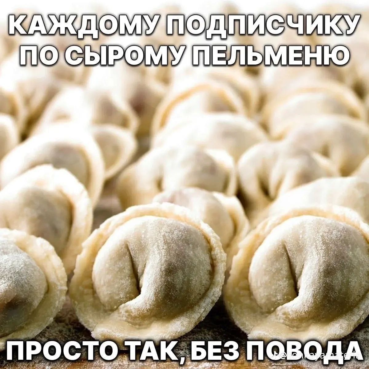 КАЖДОМУ ПОДПИСЧИКУ ПО СЫРОМУ ПЕЛЬМЕНЮ ПРОСТО ТАК, БЕЗ ПОВОДА