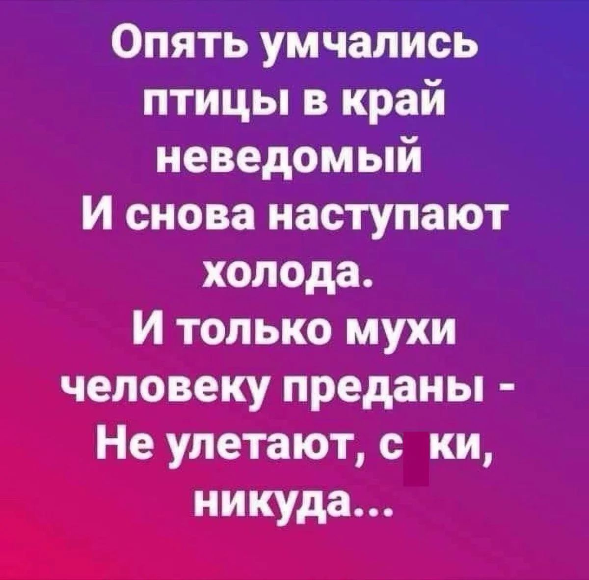 Опять умчались птицы в край неведомый И снова наступают холода. И только мухи человеку преданы - Не улетают, суки, никуда...