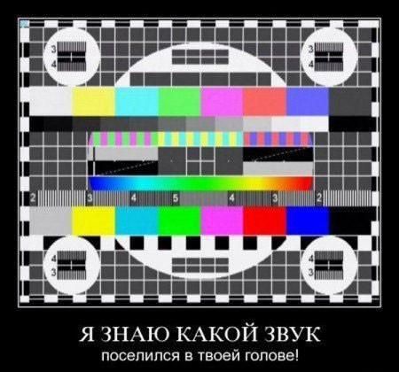 Я ЗНАЮ КАКОЙ ЗВУК поселился в твоей голове!