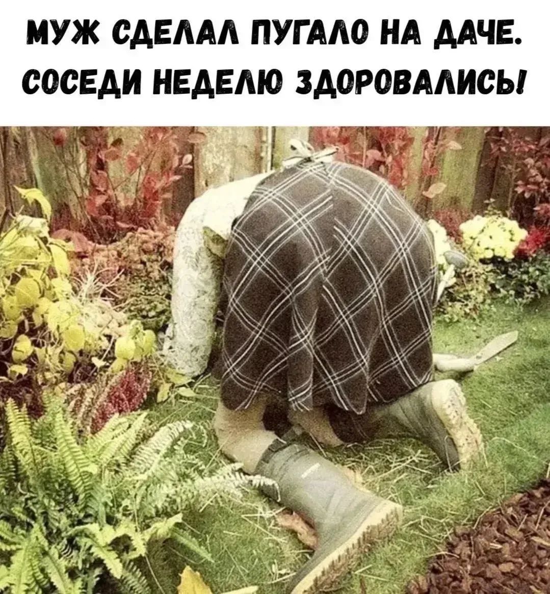 МУЖ СДЕЛАЛ ПУГАЛО НА ДАЧЕ. СОСЕДИ НЕДЕЛЮ ЗДОРОВАЛИСЬ!