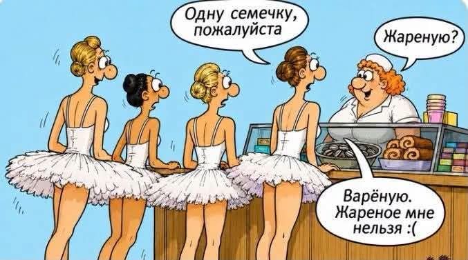— Одну семечку, пожалуйста. — Жареную? — Варёную. Жареное мне нельзя :(