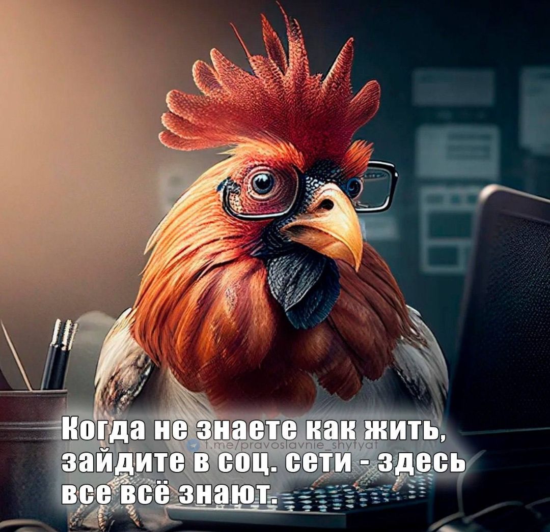 Когда не знаете как жить, зайдите в соц. сети - здесь все всё знают.