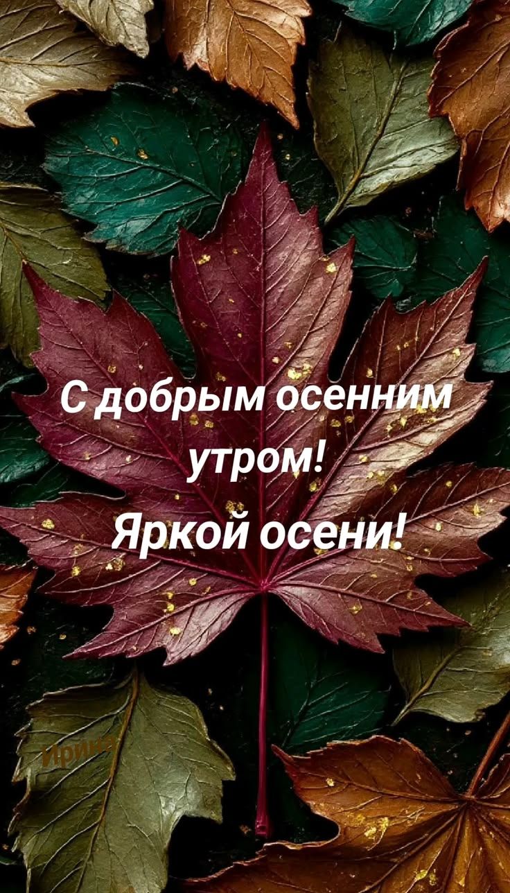 С добрым осенним утром! Яркой осени!