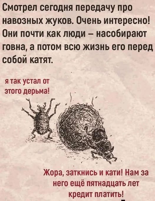 Смотрел сегодня передачу про навозных жуков. Очень интересно! Они почти как люди – насобирают говна, а потом всю жизнь его перед собой катят. Я так устал от этого дерьма! Жора, заткнись и кати! Нам за него ещё пятнадцать лет кредит платить!