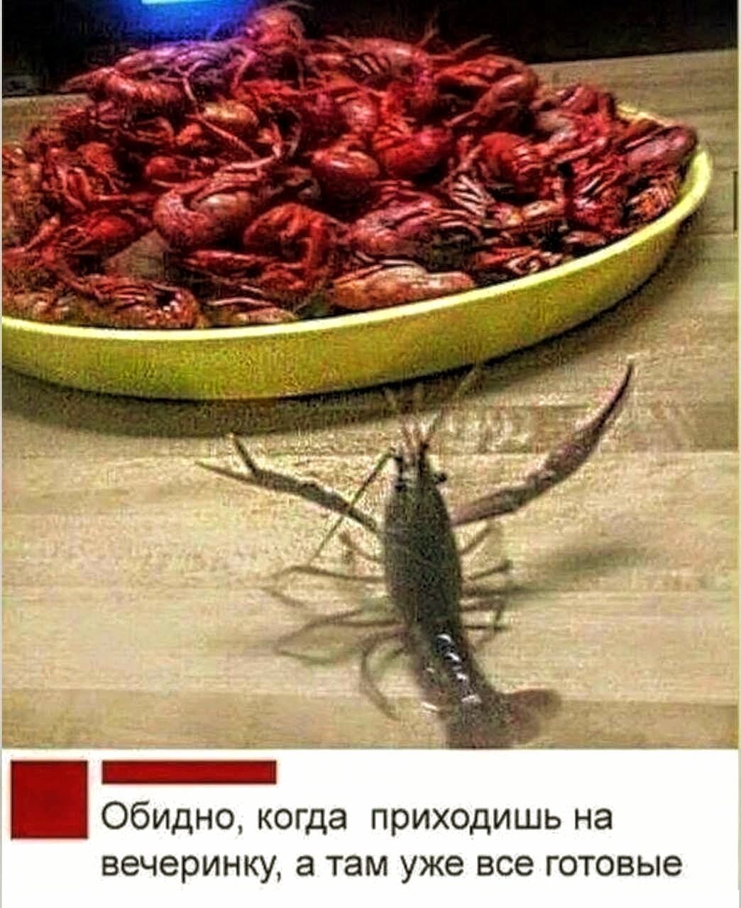 Обидно, когда приходишь на вечеринку, а там уже все готовые