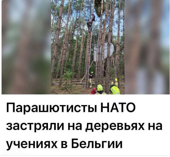Парашютисты НАТО застряли на деревьях на учениях в Бельгии