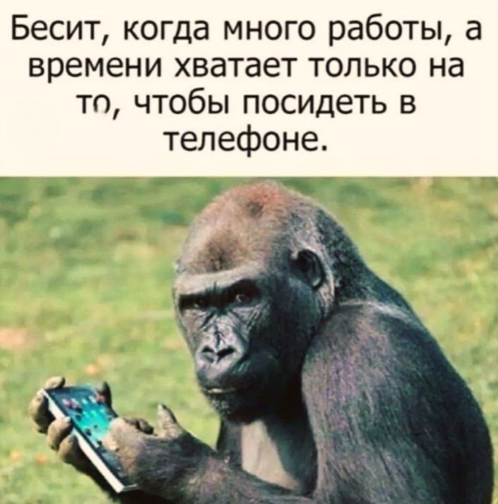Бесит, когда много работы, а времени хватает только на то, чтобы посидеть в телефоне.