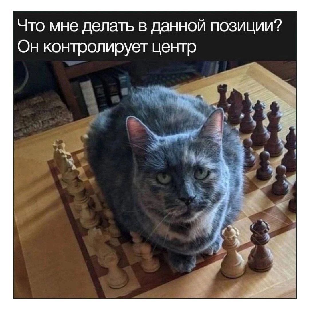 Что мне делать в данной позиции? Он контролирует центр
