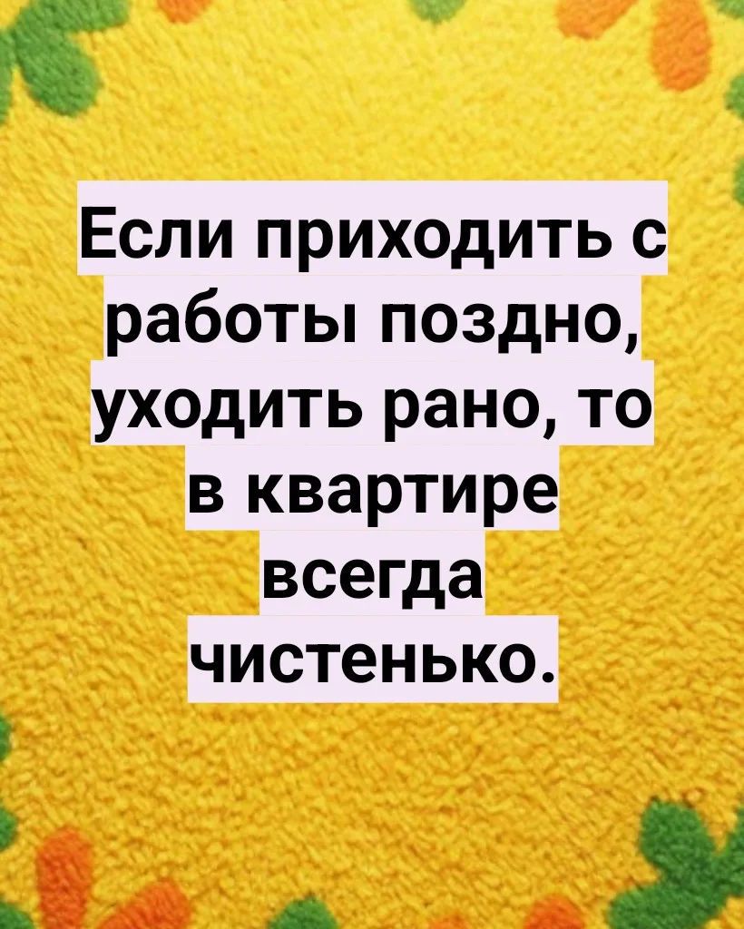 Если приходить с работы поздно, уходить рано, то в квартире всегда чистенько.