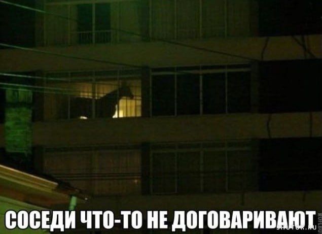 СОСЕДИ ЧТО-ТО НЕ ДОГОВАРИВАЮТ