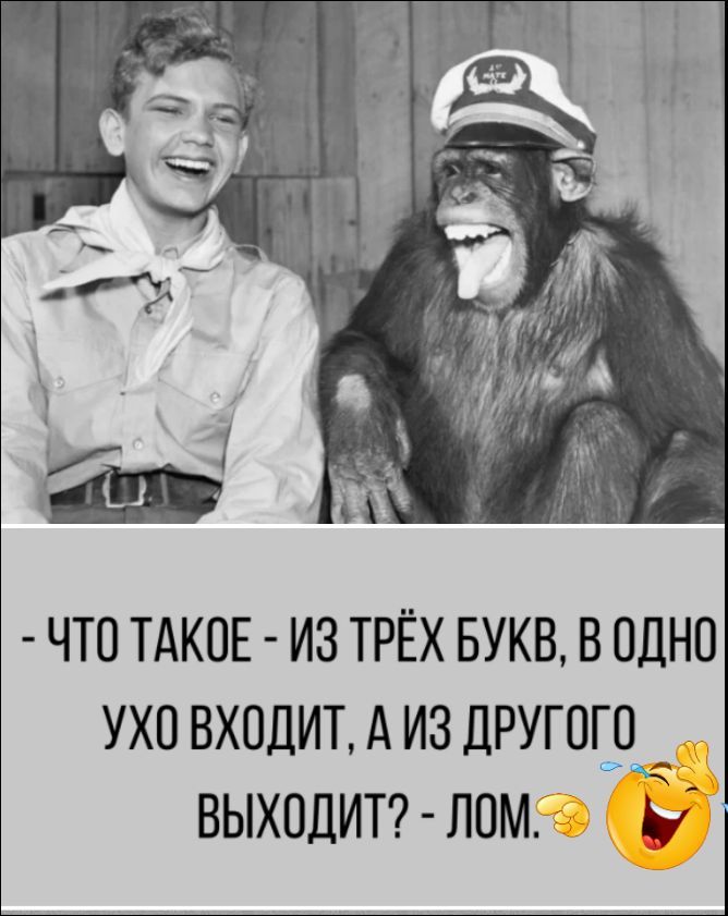 ЧТО ТАКОЕ - ИЗ ТРЁХ БУКВ, В ОДНО УХО ВХОДИТ, А ИЗ ДРУГОГО ВЫХОДИТ? - ЛОМ.