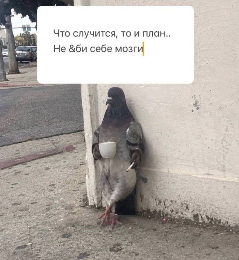 Что случится, то и план.. Не &би себе мозги