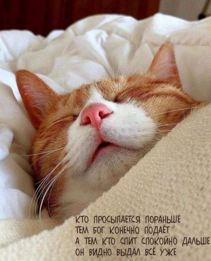 КТО ПРОСЫПАЕТСЯ ПОРАНЬШЕ ТЕМ БОГ КОНЕЧНО ПОДАЁТ А ТЕМ КТО СПИТ СПОКОЙНО ДАЛЬШЕ ОН ВИДНО ВЫДАЛ ВСЁ УЖЕ