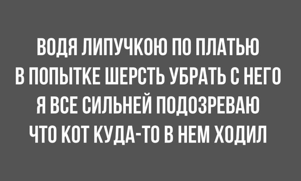 ВОДЯ ЛИПУЧКОЮ ПО ПЛАТЬЮ В ПОПЫТКЕ ШЕРСТЬ УБРАТЬ С НЕГО Я ВСЕ СИЛЬНЕЙ ПОДОЗРЕВАЮ ЧТО КОТ КУДА-ТО В НЕМ ХОДИЛ