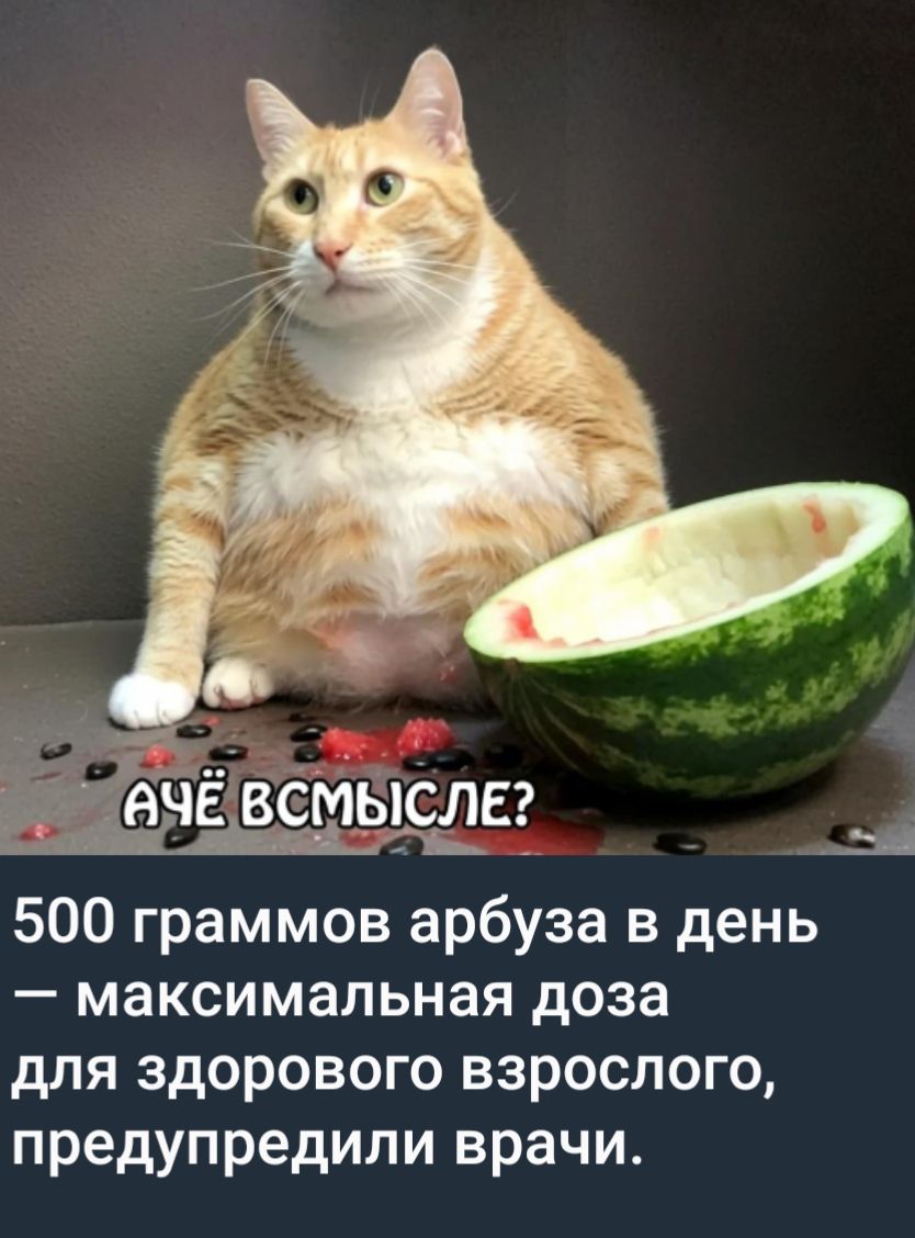 А чё в смысле? 500 граммов арбуза в день — максимальная доза для здорового взрослого, предупредили врачи.