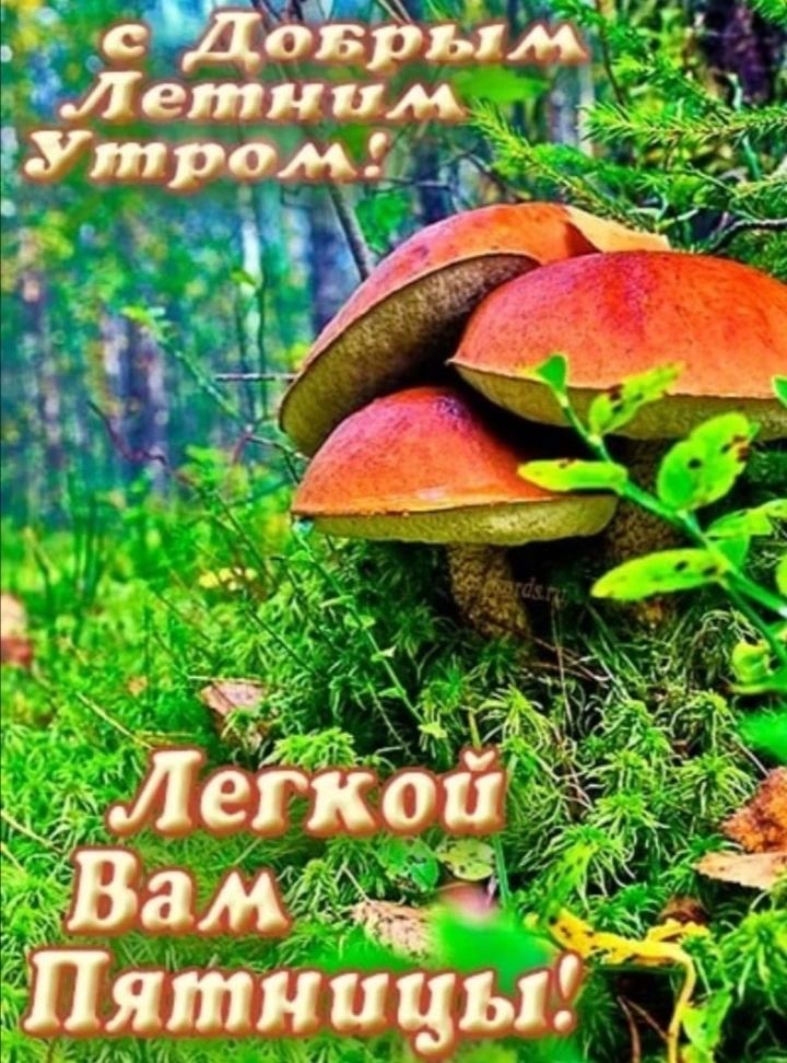 С Добрым Летним Утром! Легкой Вам Пятницы!