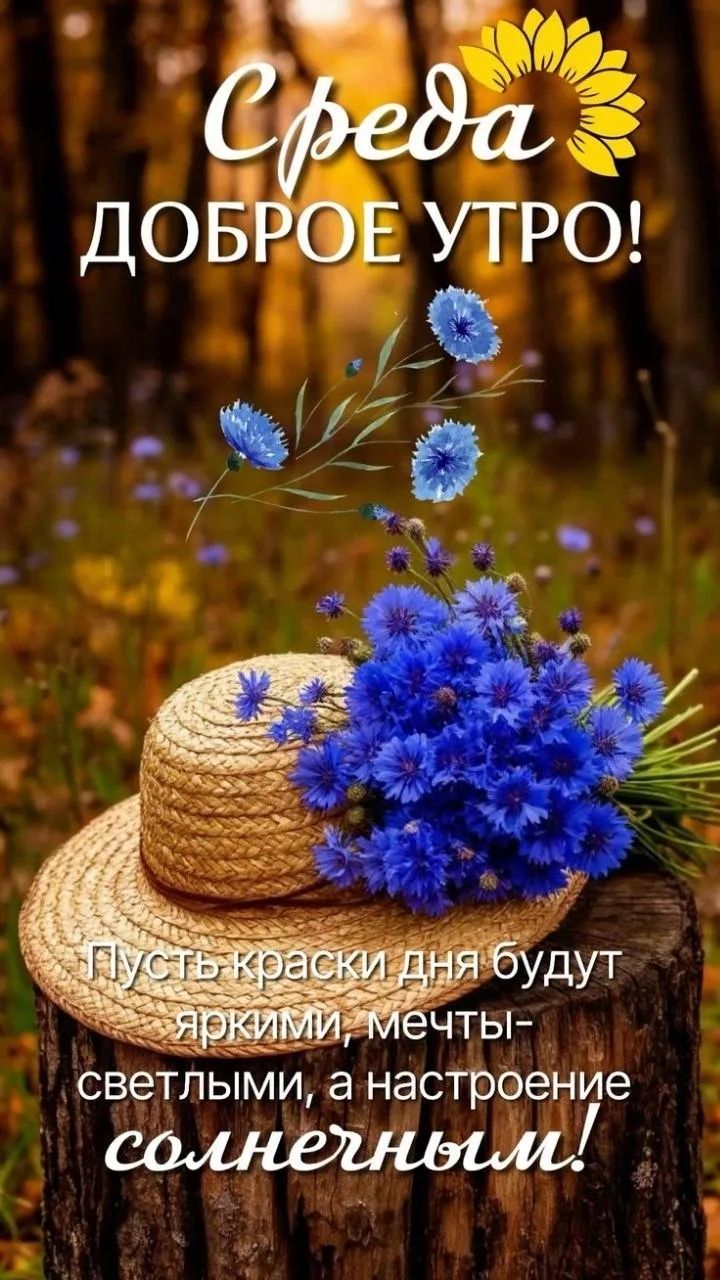 Среда ДОБРОЕ УТРО! Пусть краски дня будут яркими, мечты- светлыми, а настроение солнечным!