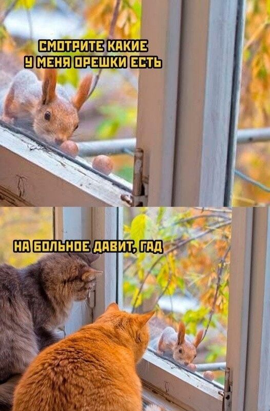 Смотрите какие у меня орешки есть. На больное давит, гад.