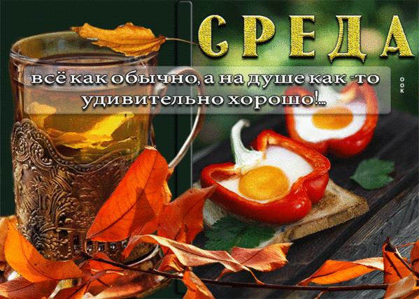 СРЕДА всё как обычно, а на душе как-то удивительно хорошо!