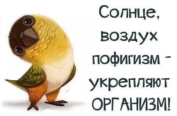 Солнце, воздух, пофигизм - укрепляют организм!