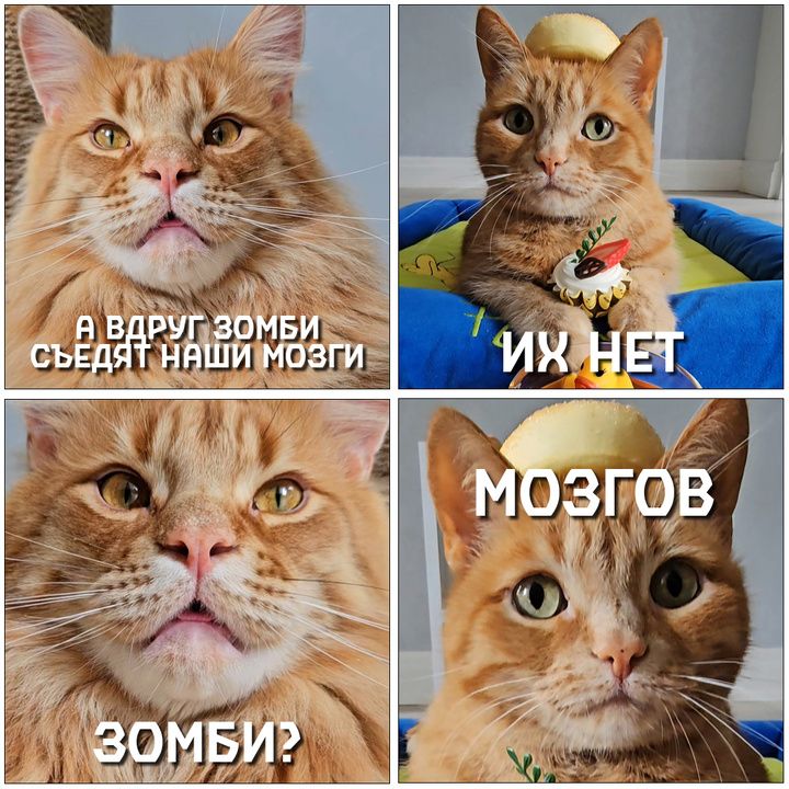 А вдруг зомби съедят наши мозги. Их нет. Зомби? Мозгов.