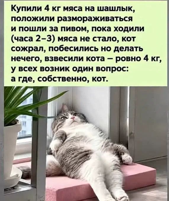 Купили 4 кг мяса на шашлык, положили размораживаться и пошли за пивом, пока ходили (часа 2-3) мяса не стало, кот сожрал, побесились но делать нечего, взвесили кота — ровно 4 кг, у всех возник один вопрос: а где, собственно, кот.