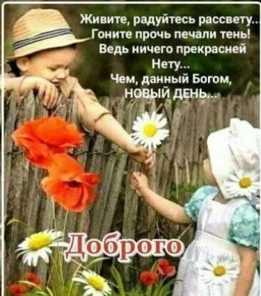 Живите, радуйтесь рассвету... Гоните прочь печали тень! Ведь ничего прекрасней Нету... Чем, данный Богом, НОВЫЙ ДЕНЬ... Доброго