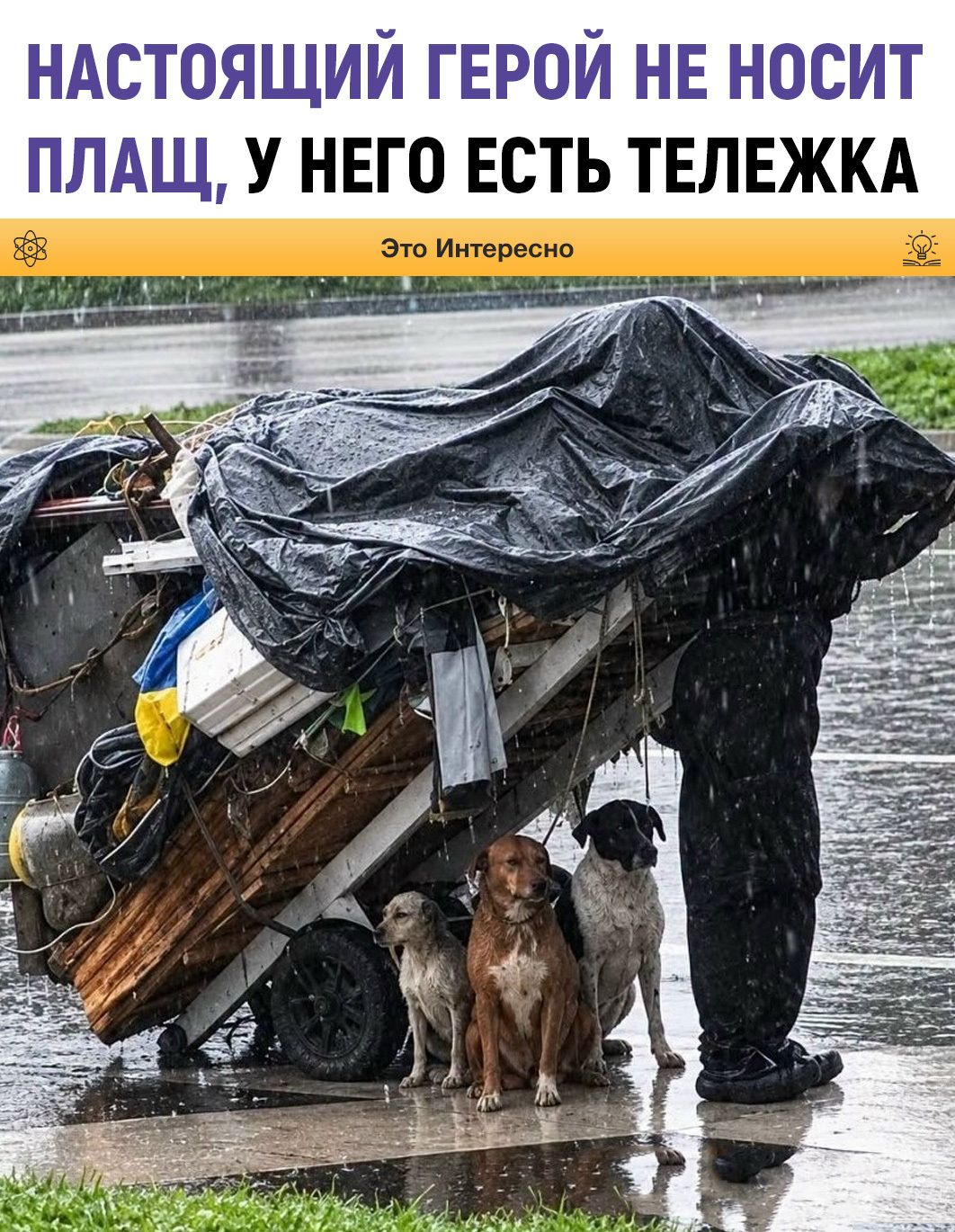 НАСТОЯЩИЙ ГЕРОЙ НЕ НОСИТ ПЛАЩ, У НЕГО ЕСТЬ ТЕЛЕЖКА Это Интересно
