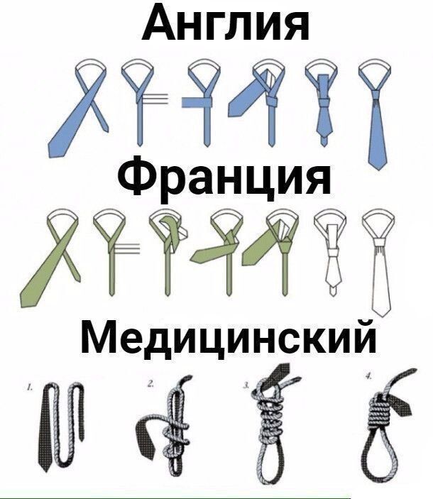 Англия Франция Медицинский 1. 2. 3. 4.