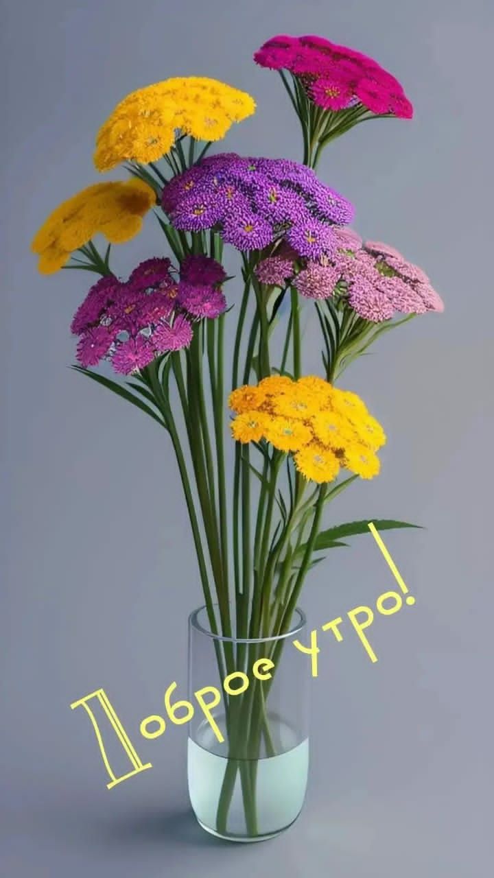 Доброе утро!