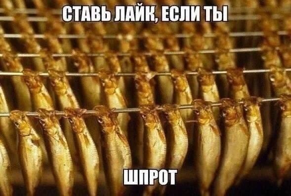 СТАВЬ ЛАЙК, ЕСЛИ ТЫ ШПРОТ