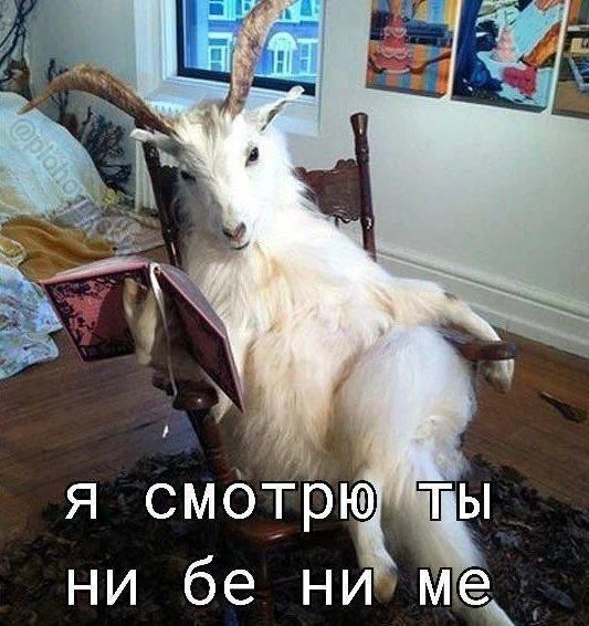 Я смотрю ты ни бе ни ме