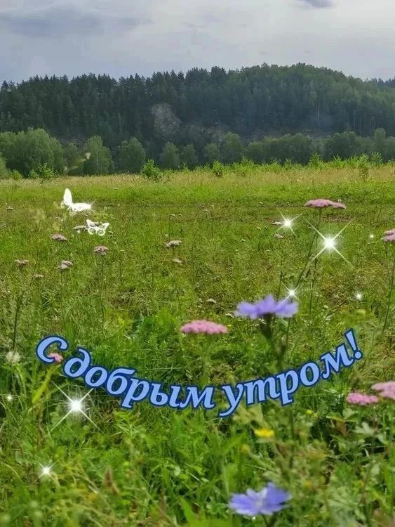С добрым утром!