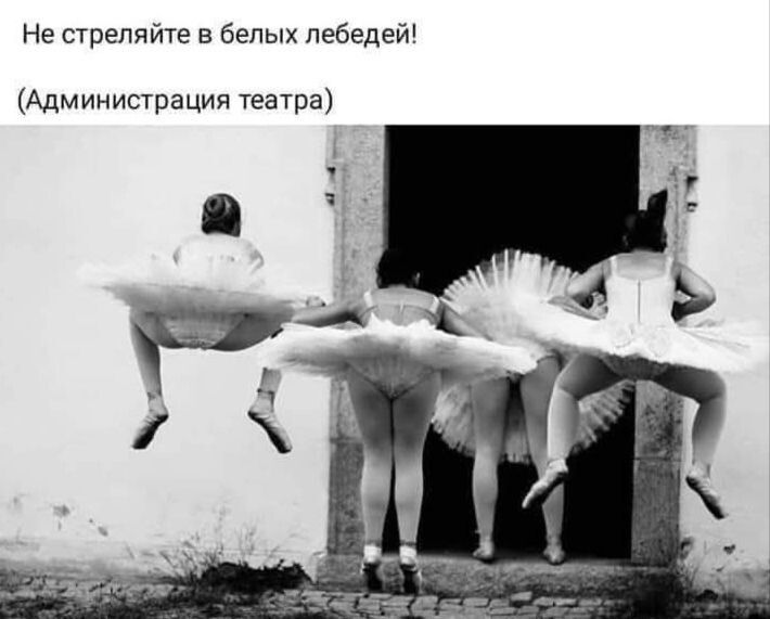 Не стреляйте в белых лебедей! (Администрация театра)