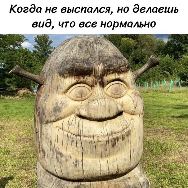 Когда не выспался, но делаешь вид, что все нормально