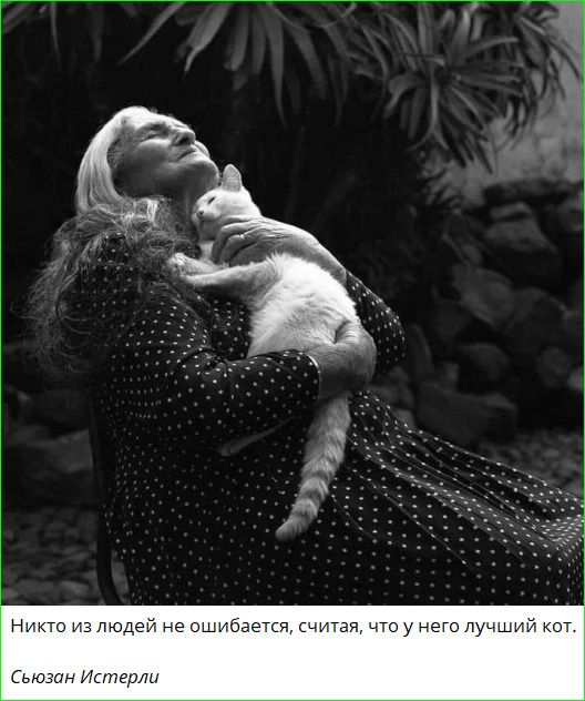 Никто из людей не ошибается, считая, что у него лучший кот. Сьюзан Истерли