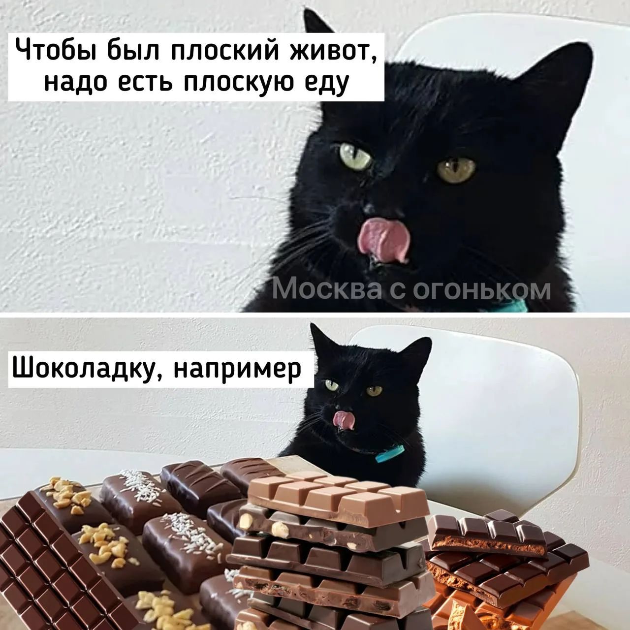 Чтобы был плоский живот, надо есть плоскую еду. Шоколадку, например.